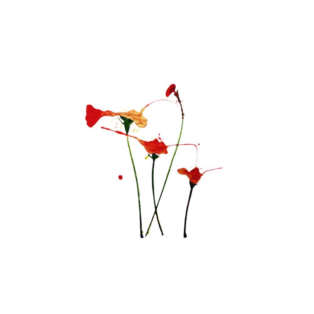 Floral Cream: Cushions Covers