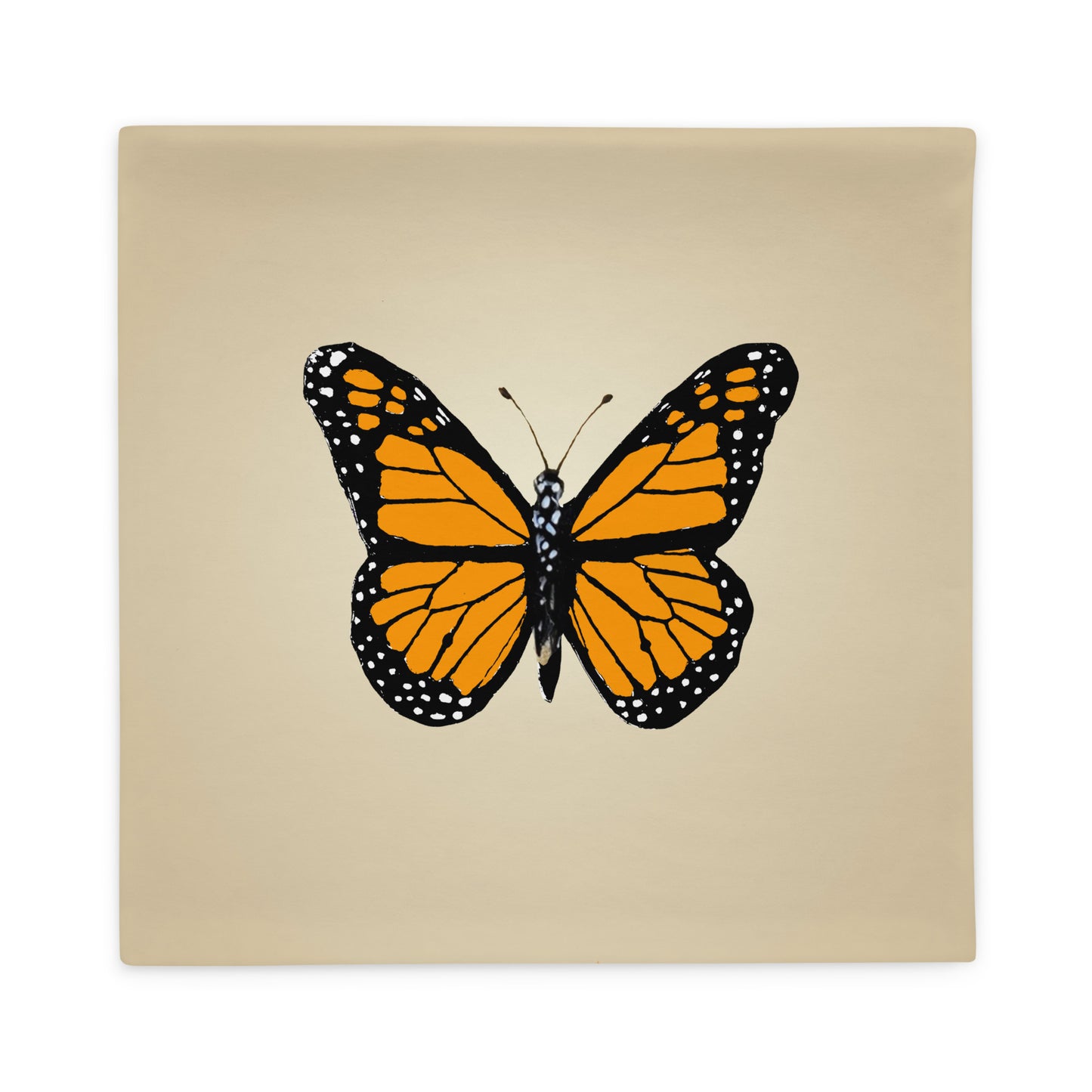 The New Has Come: Classic Cushion Covers